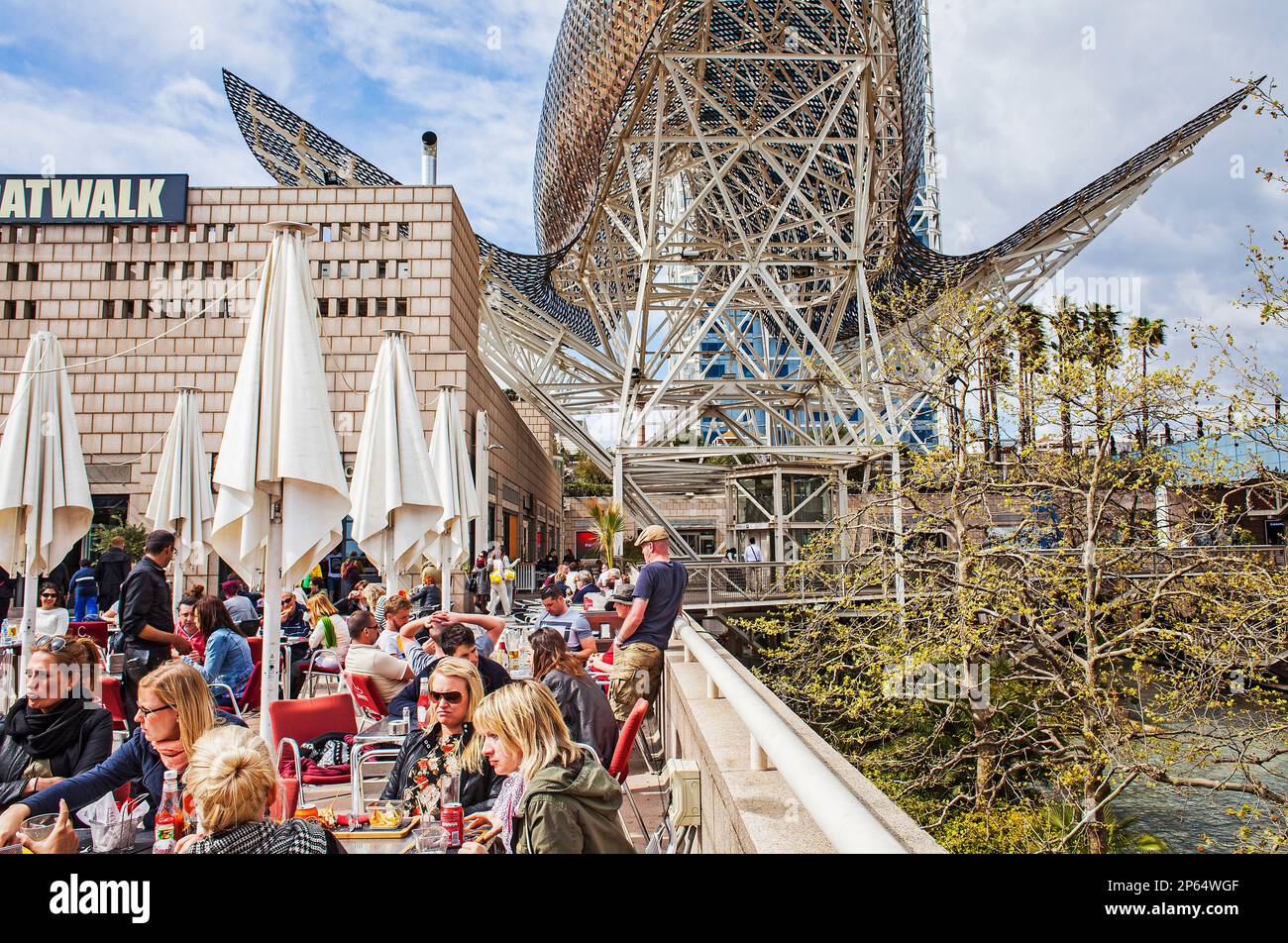 The coconut restaurant, Port Olimpic , Barcelona, Spain Stock Photo Alamy