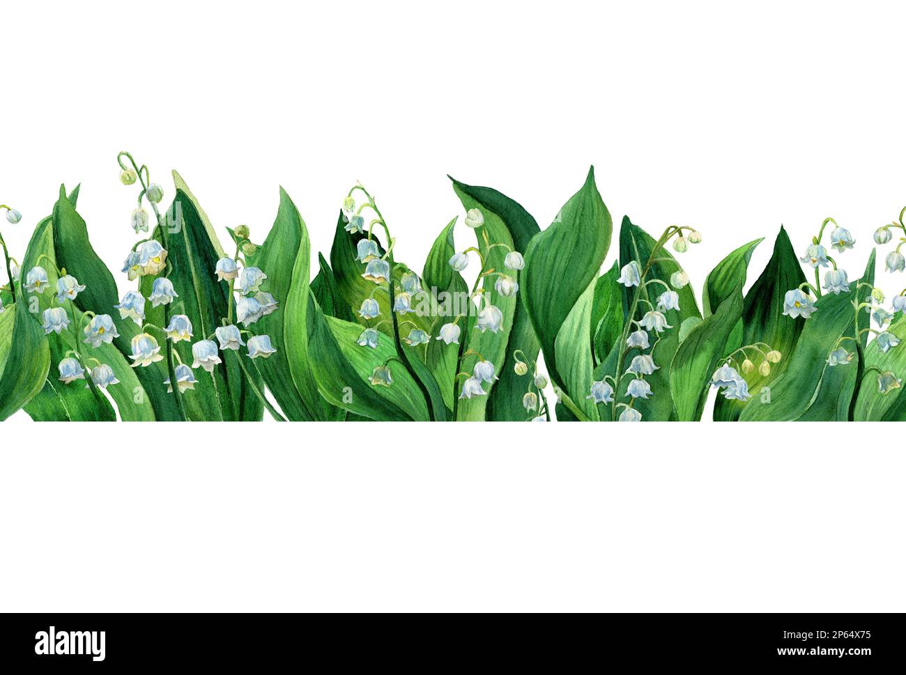 Watercolor horizontal border of lily of the valley, white flowers ...