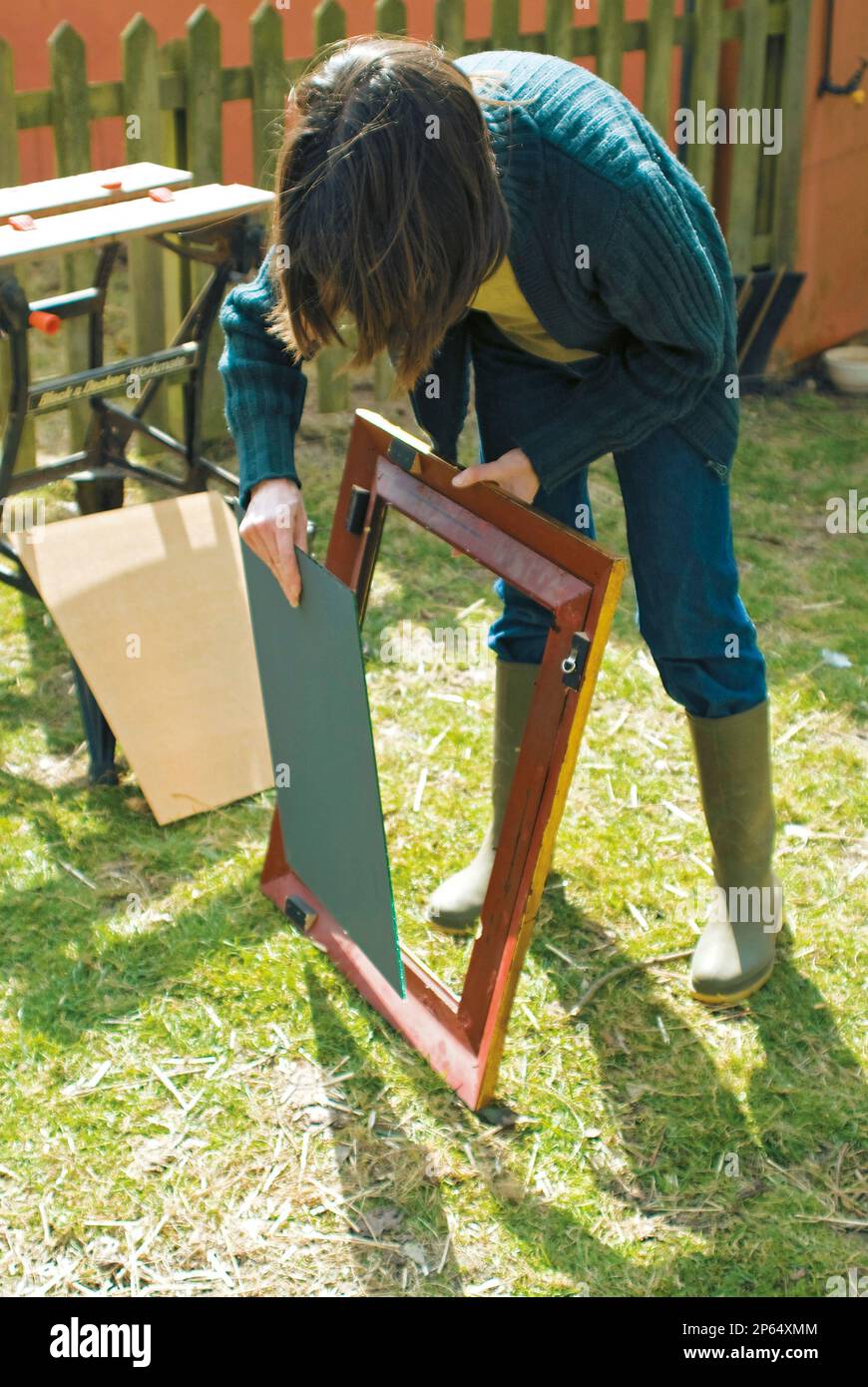 making an auricula theatre plant display shelf removing mirror from