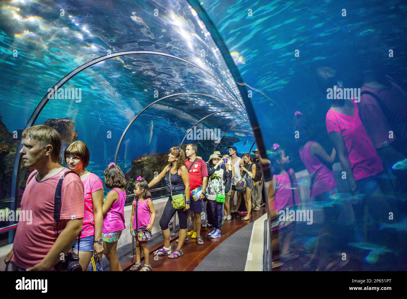 Underwater tunnel in an aquarium, L'Aquarium, Moll D'Espana, Barcelona
