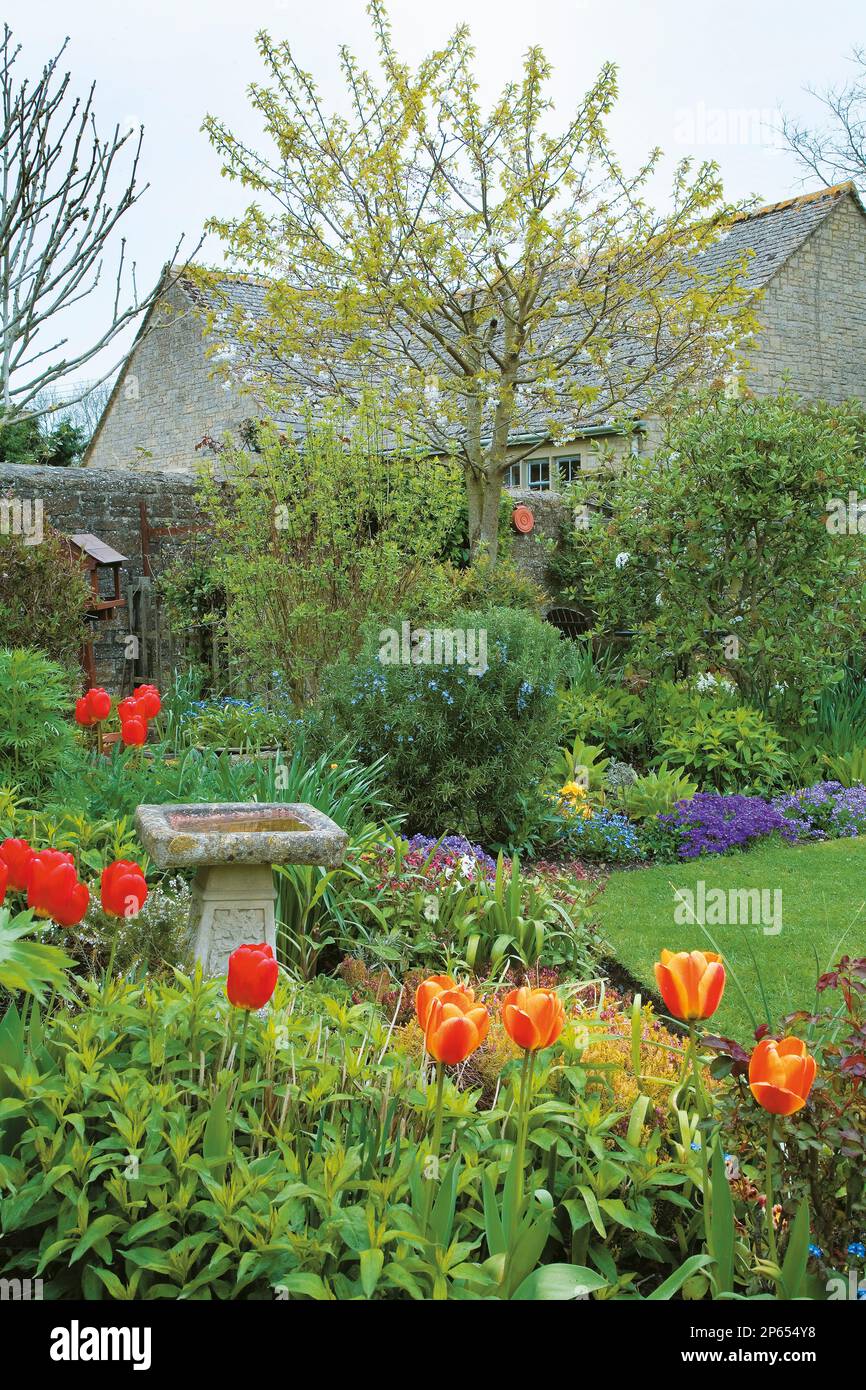 English cottage garden border Stock Photo