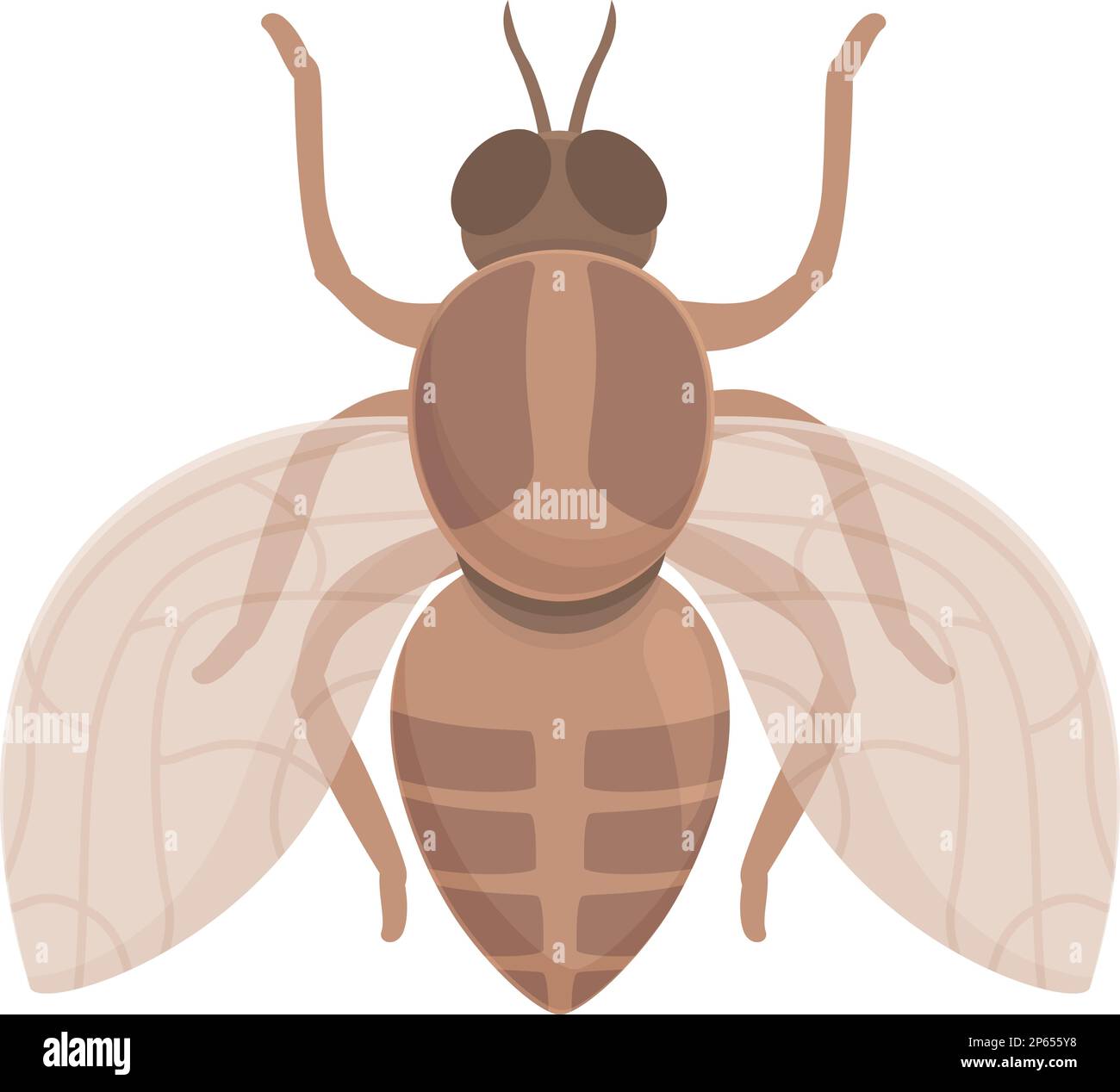 animal-tsetse-fly-icon-cartoon-vector-africa-insect-nature-wings