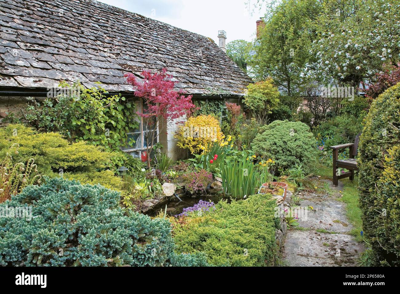 English cottage garden Stock Photo - Alamy