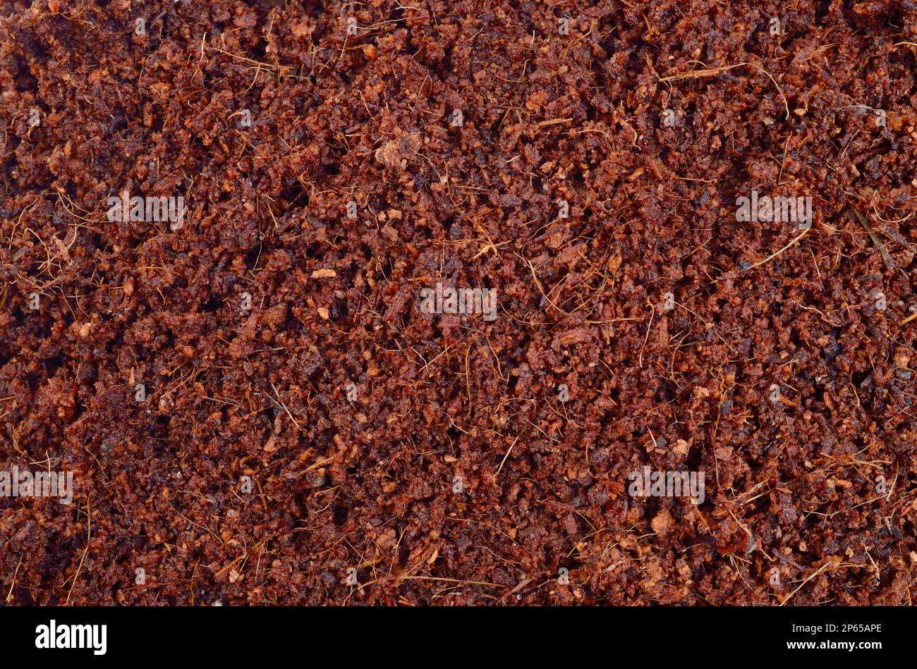 Coconut Coir substrate for for agricultur. Background. Stock Photo
