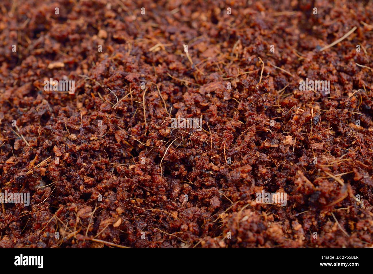 Coconut Coir substrate for for agricultur. Background. Stock Photo