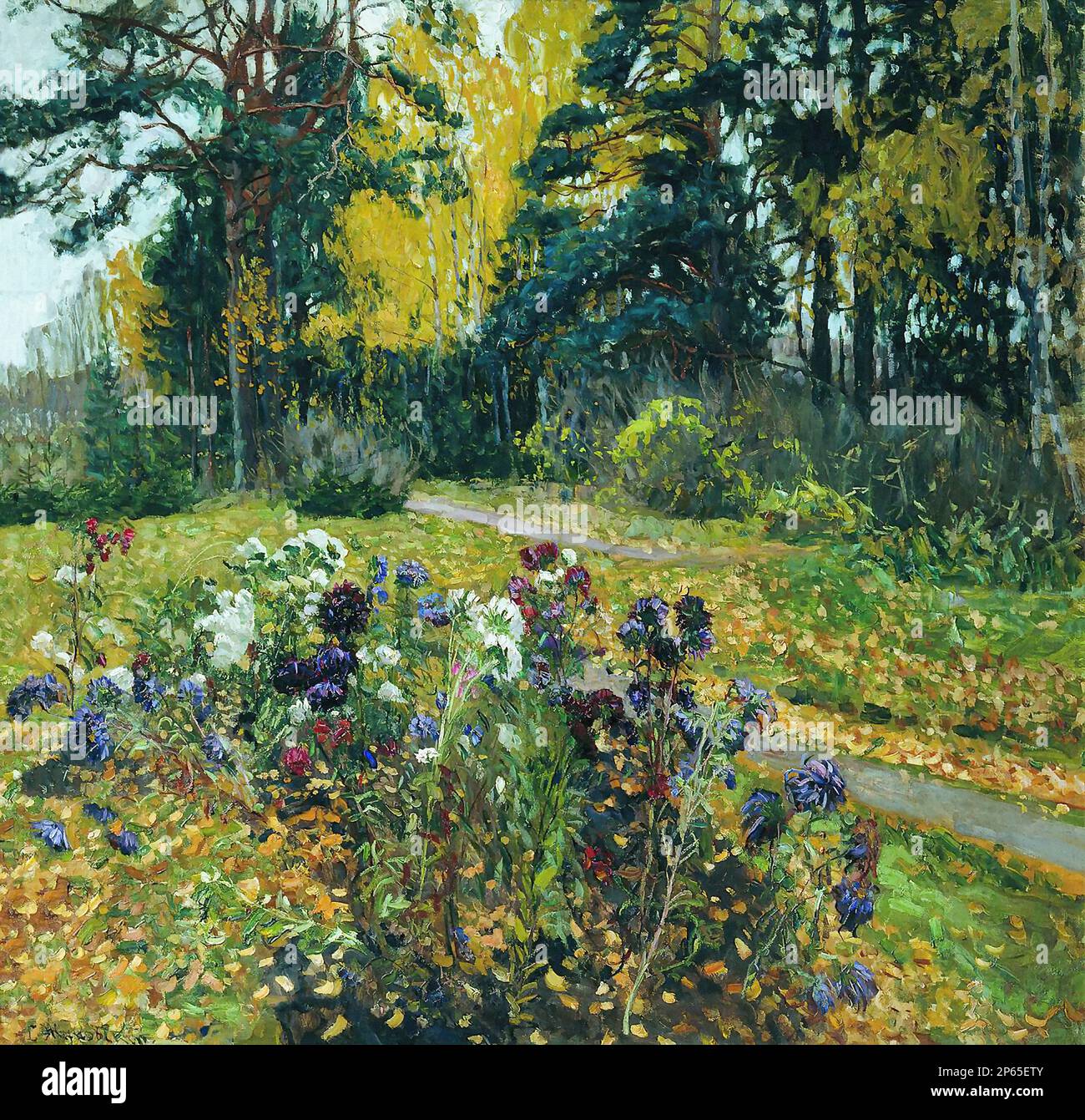 Last asters hi-res stock photography and images - Alamy