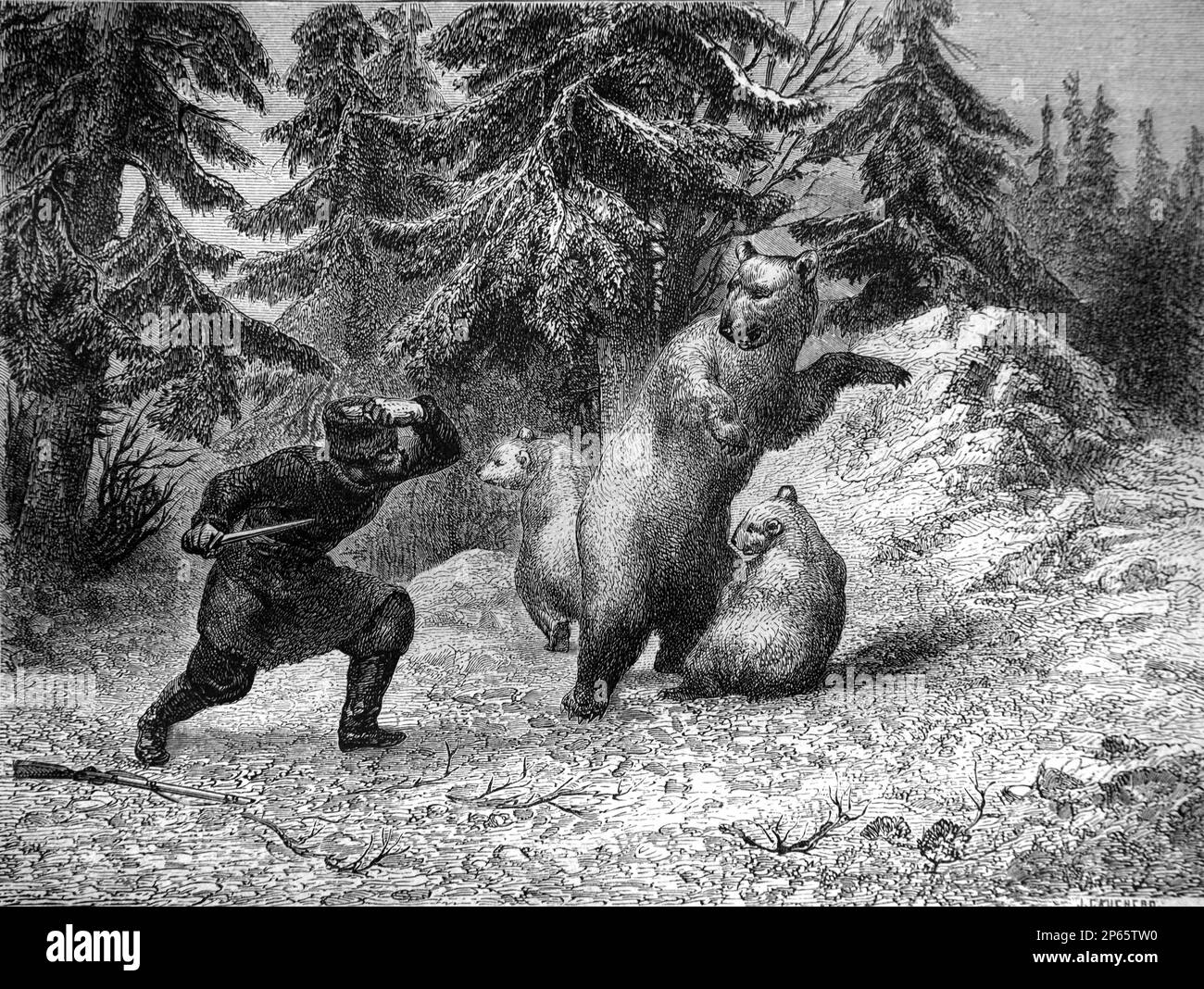Siberian Hunter Attacking Brown Bears, Ursus arctos, Siberia Russia. Vintage Engraving or Illustration 1862 Stock Photo