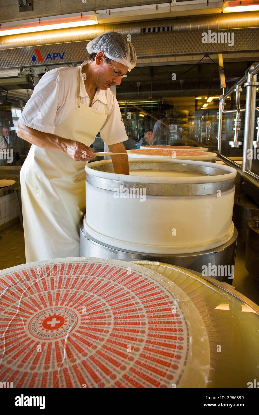 Switzerland, Canton Bern, Affolter Im Emmental, dairy production of