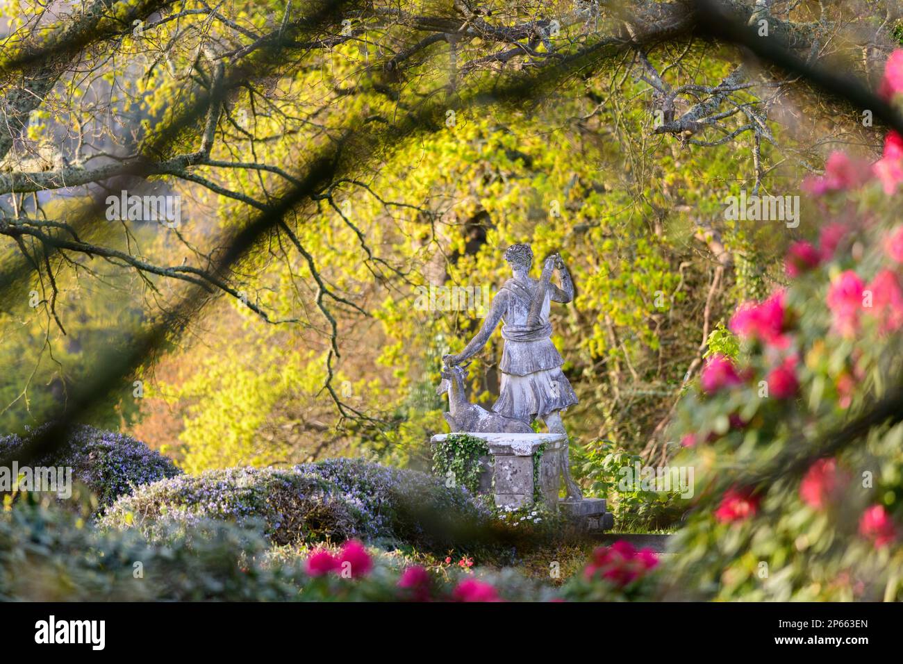 Mount gardens Plymouth Stock Photo Alamy