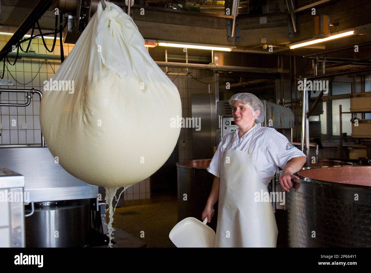 Switzerland, Canton Bern, Affoltern Im Emmental, dairy production of