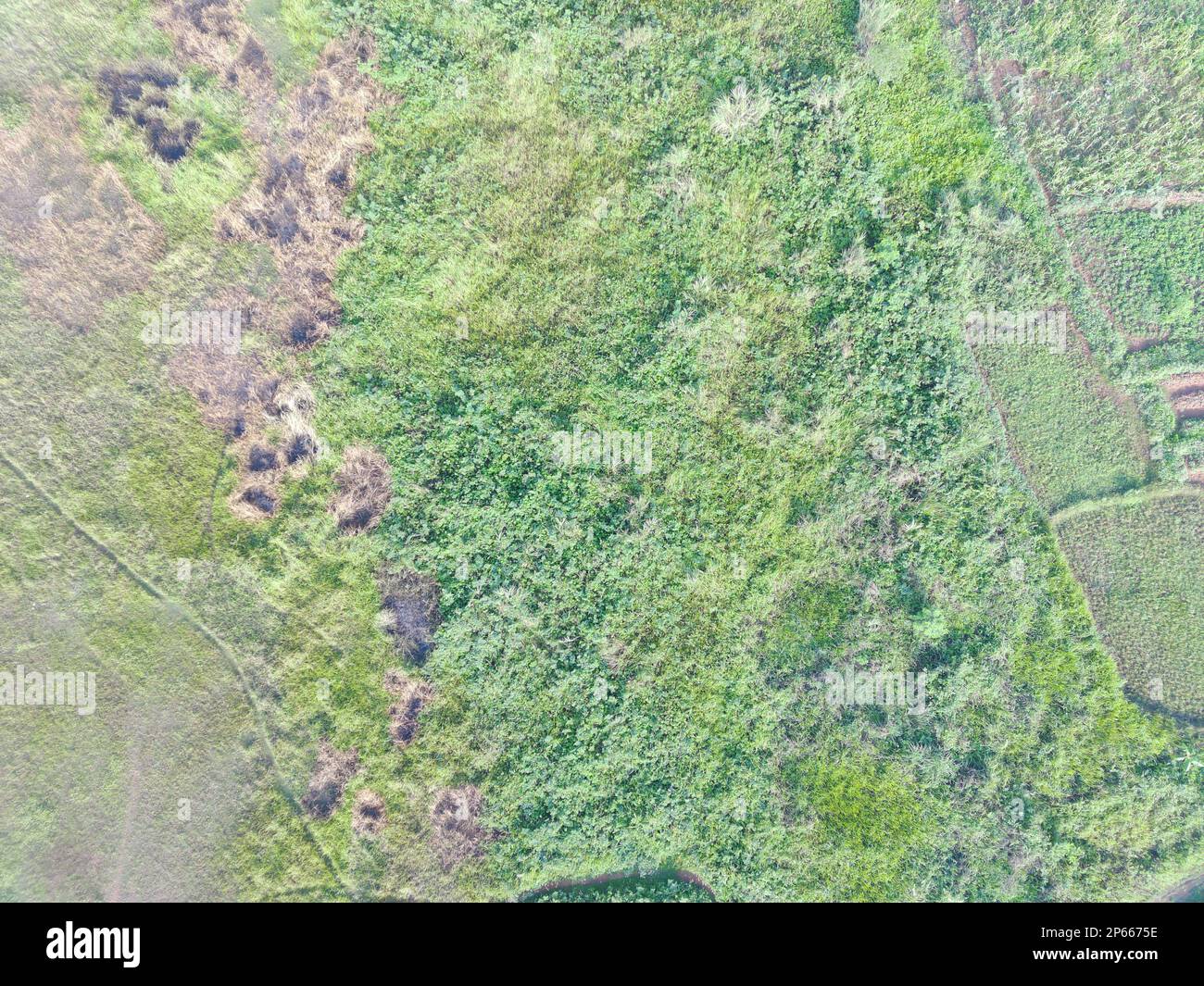 Aerial View Of Land Mapping By Unmaned Aerial Vehicle In Bogor ...