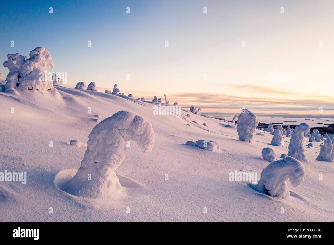 Ice sculptures in the snowy winter scenery of Finnish Lapland at dawn, Finland, Europe Stock Photo