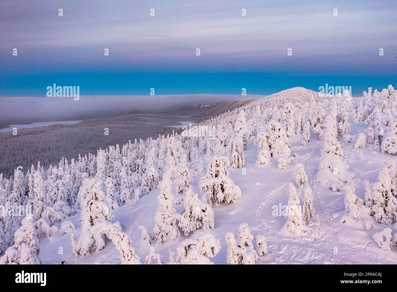 Aerial view of ice sculptures, Oulanka National Park, Ruka Kuusamo, Lapland, Finland, Europe Stock Photo