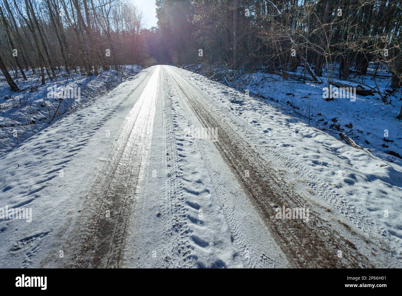 Snow-covered slippery road in the forest, sunny cold winter day Stock Photo