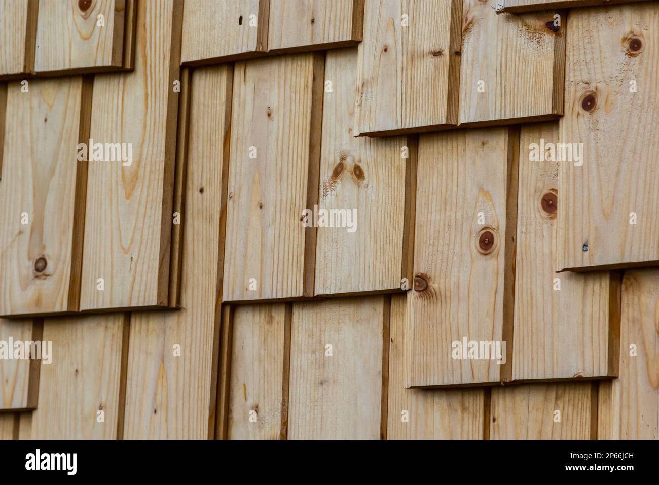 wooden panel.Eco wood 3d tiles. Material High quality realistic texture ...