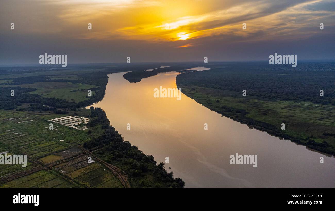 Evening light over River Gambia National Park, Gambia, West Africa, Africa Stock Photo