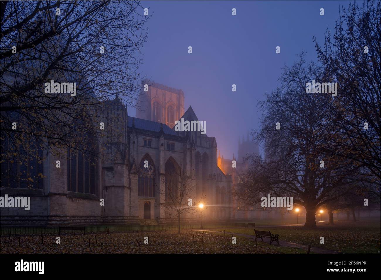 The Church and Metropolitical Church of Saint Peter, York Minster, shrouded in fog at dawn on a late autumn morning, York, Yorkshire, England Stock Photo