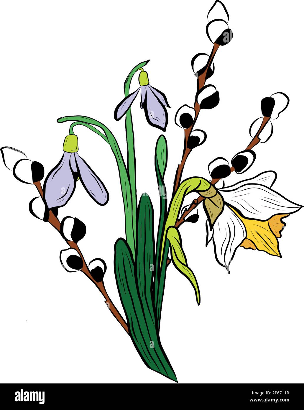 Vector drawing bouquet willow and snowdrops Stock Vector