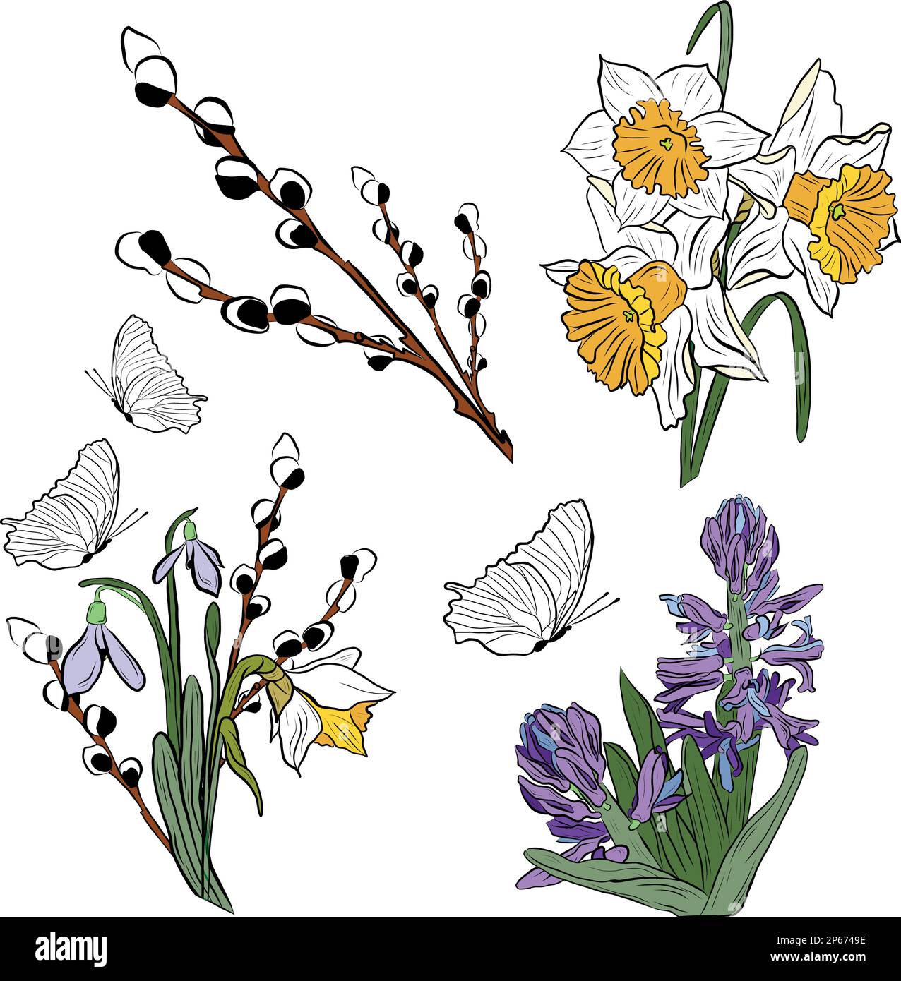 Vector drawing bouquet with butterflies, willow branch and snowdrops Stock Vector