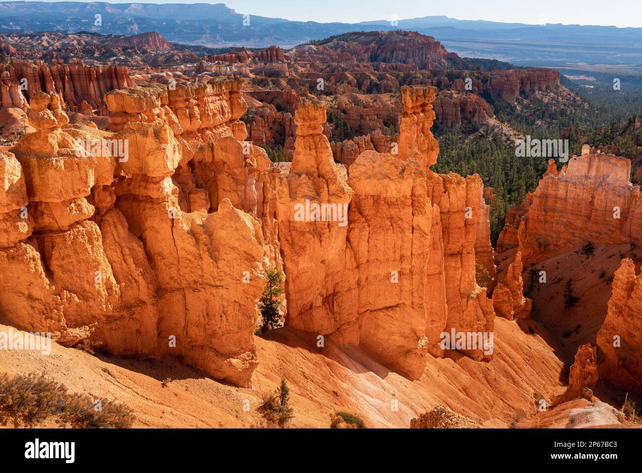 Popular rock formation (hoodoo) named Thor's Hammer taken from Navajo Loop Trail, Bryce Canyon National Park, Utah, United States of America Stock Photo