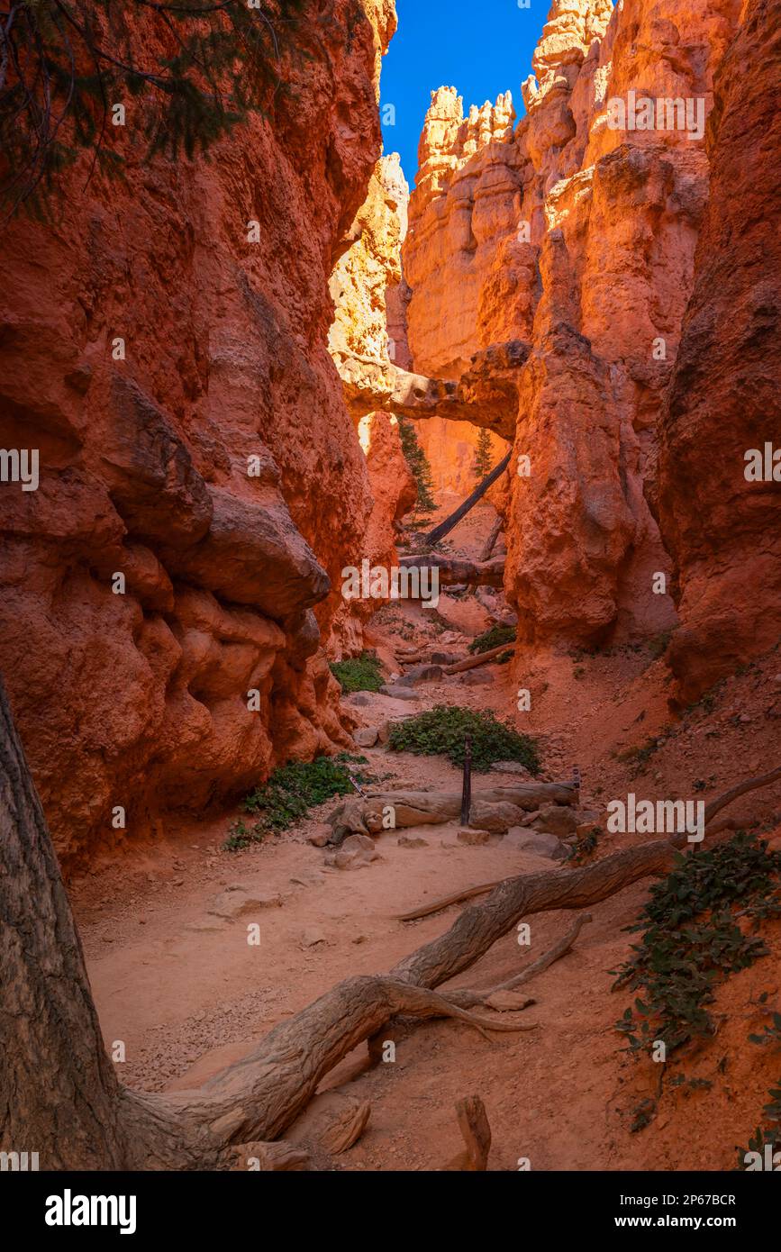 Arch loop trail hi-res stock photography and images - Alamy