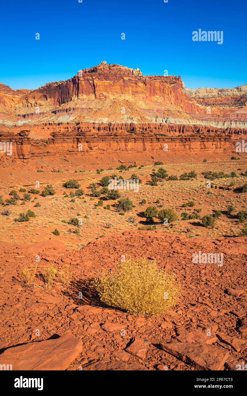 Whiskey Flat rock formation on sunny day, Capitol Reef National Park, Utah, Western United States, United States of America, North America Stock Photo