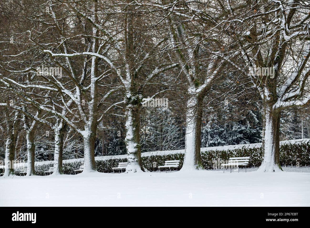 Park bench after snow dusting in downtown Vancouver, Vancouver, British Columbia, Canada, North America Stock Photo