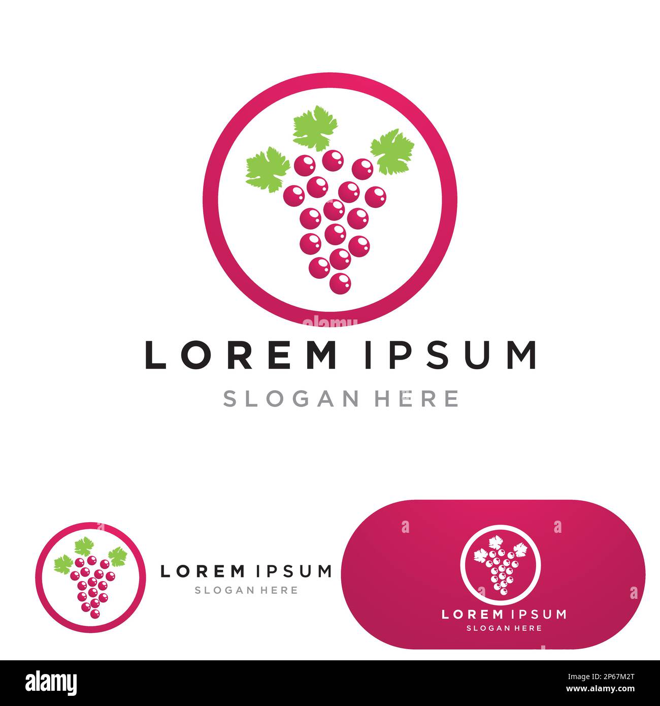 Vine app vector vectors hires stock photography and images Alamy