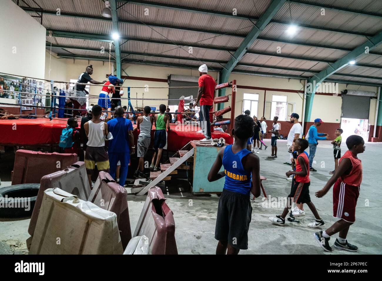 Young boxers in training, Boxing Academy Trejo, Havana, Cuba, West Indies, Caribbean, Central America Stock Photo