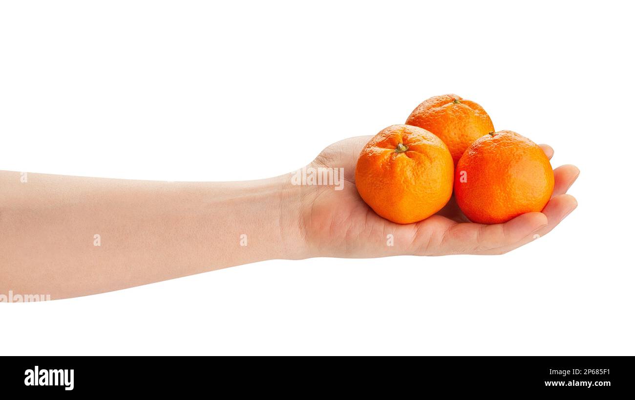 tangerine group in hand path isolated on white Stock Photo Alamy