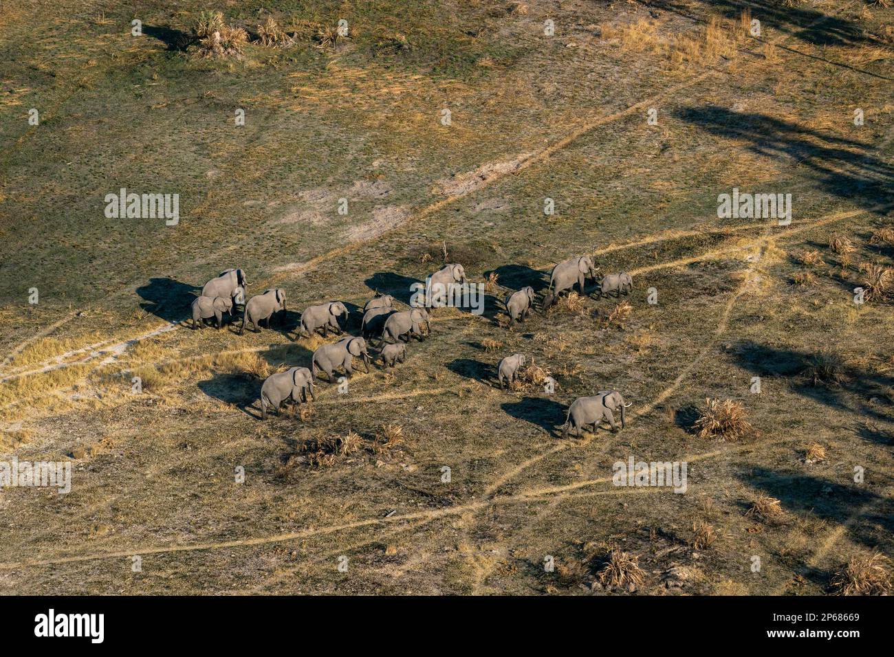 Okavango Delta Named 1000th Unesco World Heritage Site