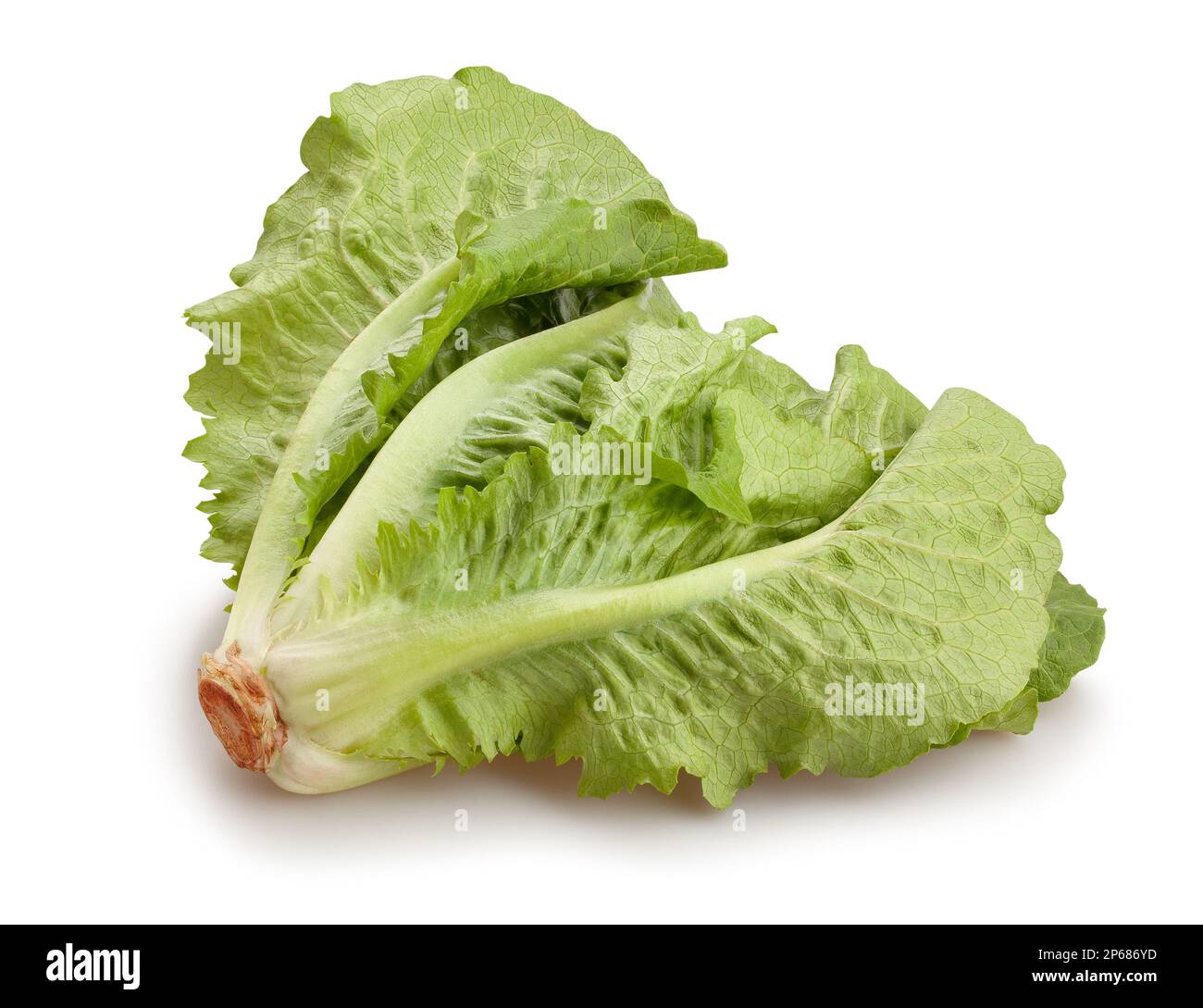 romaine lettuce path isolated on white Stock Photo Alamy
