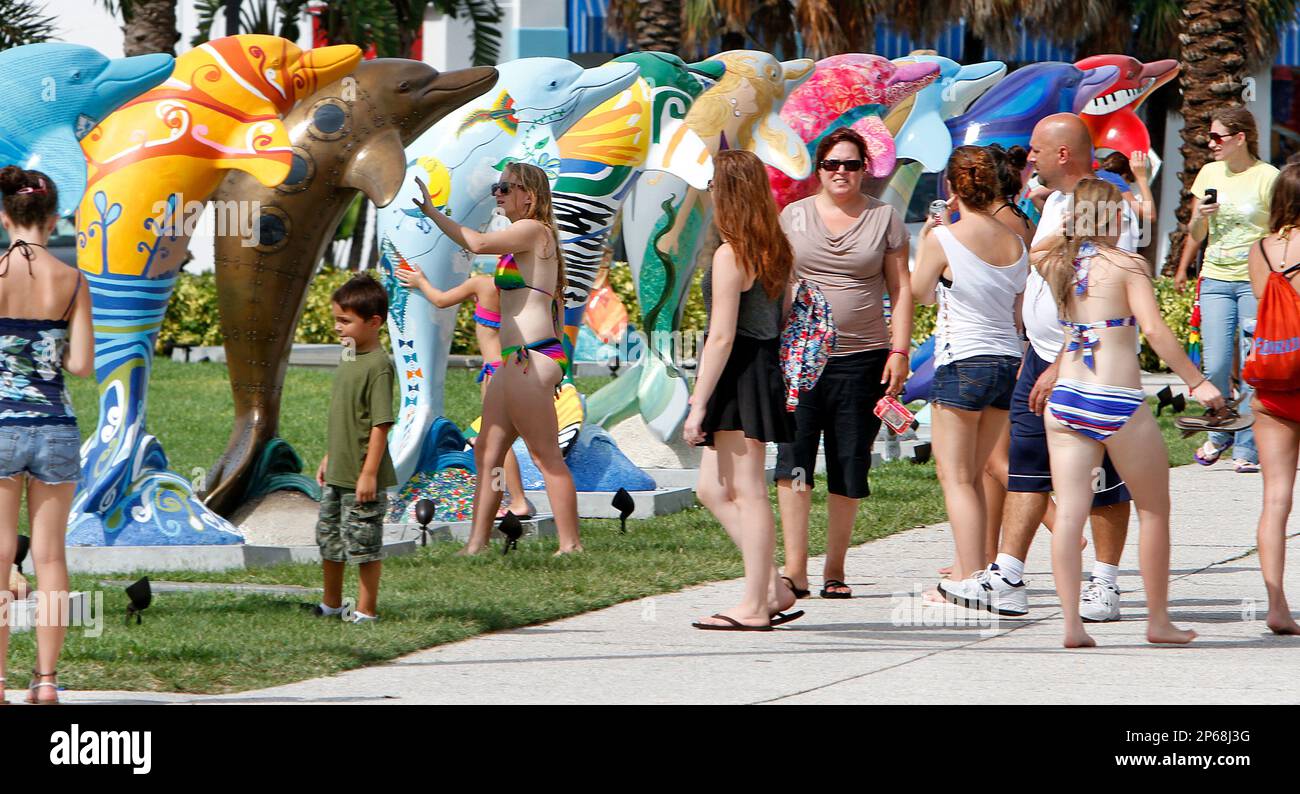 Pod of decorated dolphins to welcome RNC visitors to Clearwater