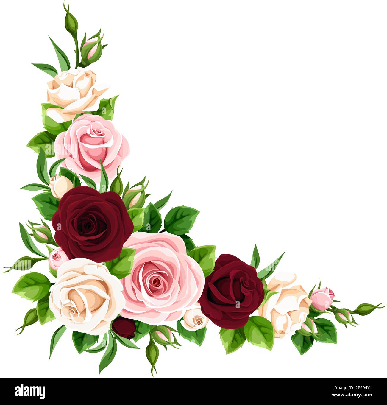 Corner border with pink, burgundy, and white rose flowers on a white ...