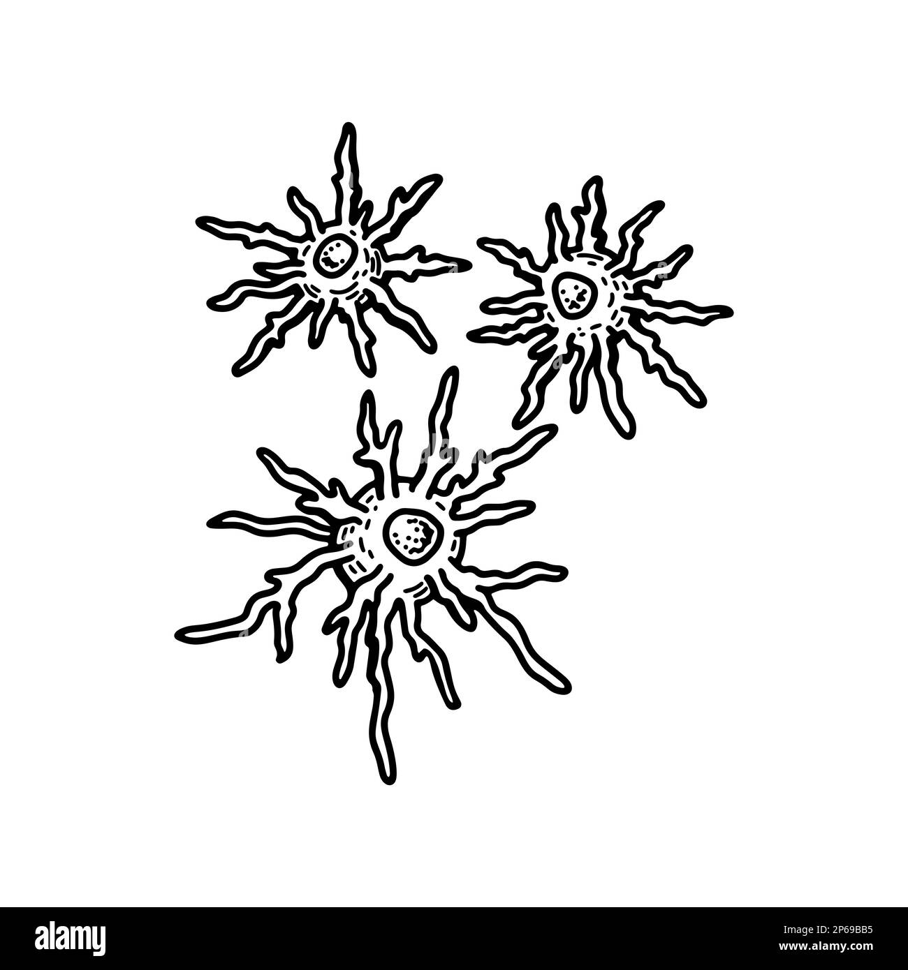 Dendritic blood cell isolated on white background. Hand drawn scientific microbiology vector illustration in sketch style Stock Vector