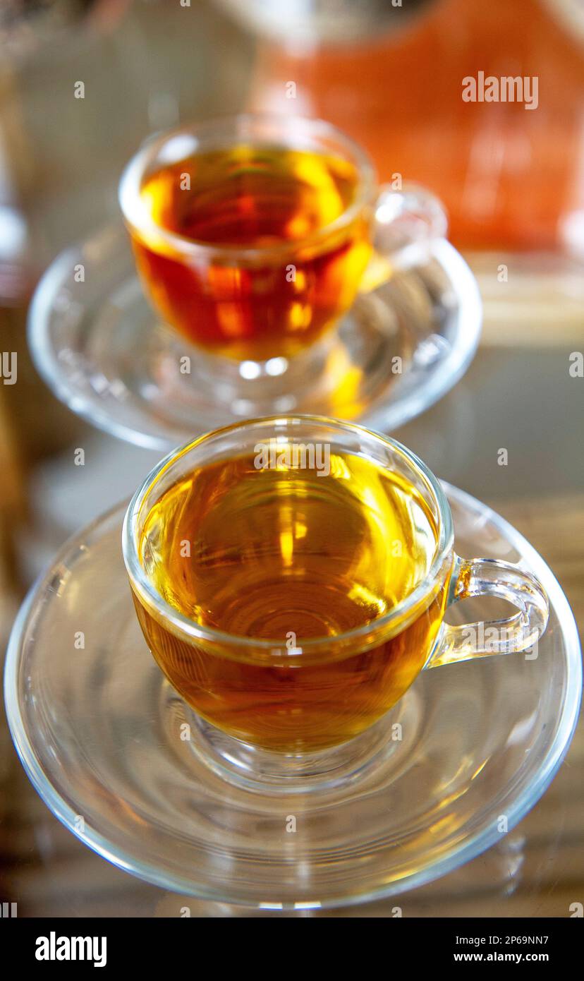 Tea tasting, Darjeeling, India Stock Photo