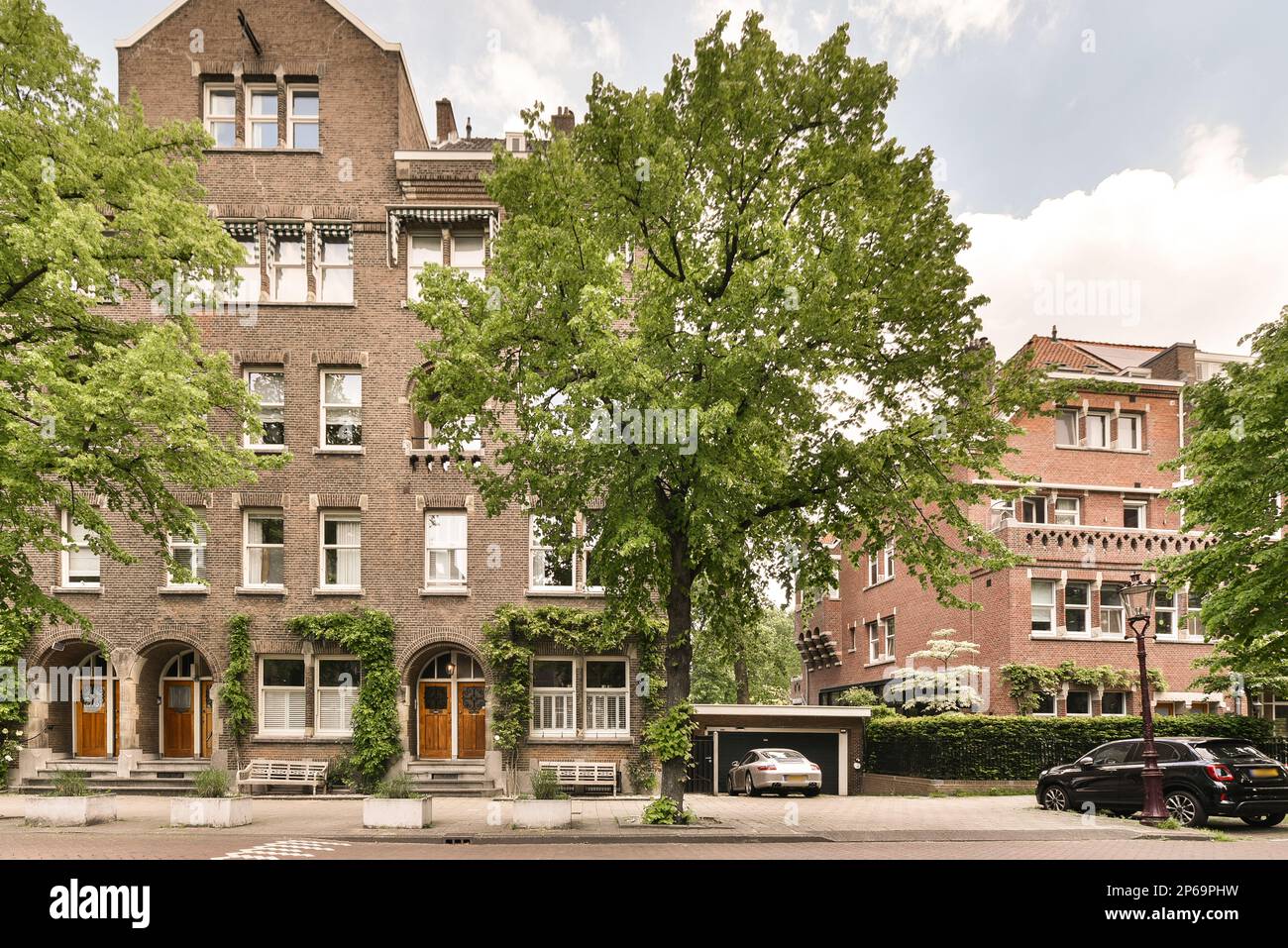 a tree in front of an apartment building with cars parked on the street ...
