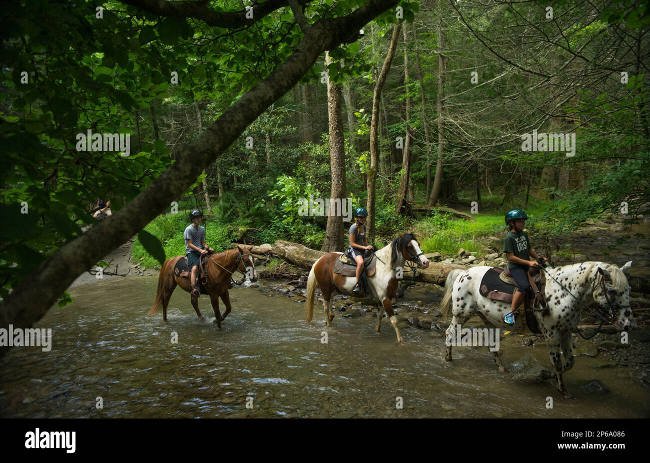 Marty, Jennifer and Mary Claire Chappetto, left to right, cross Abrams