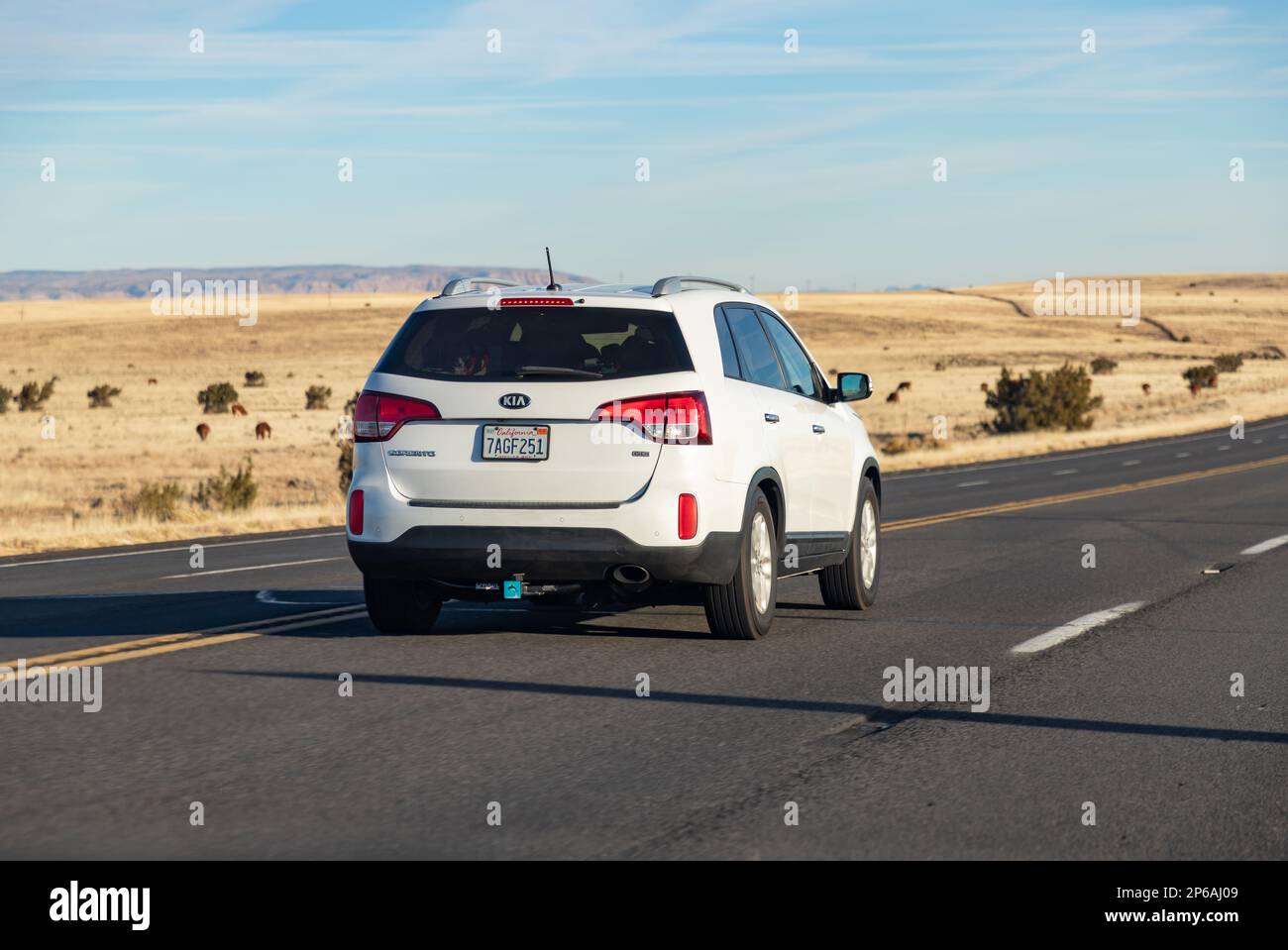 A picture of a white KIA Sorento GDI driving in Arizona. Stock Photo