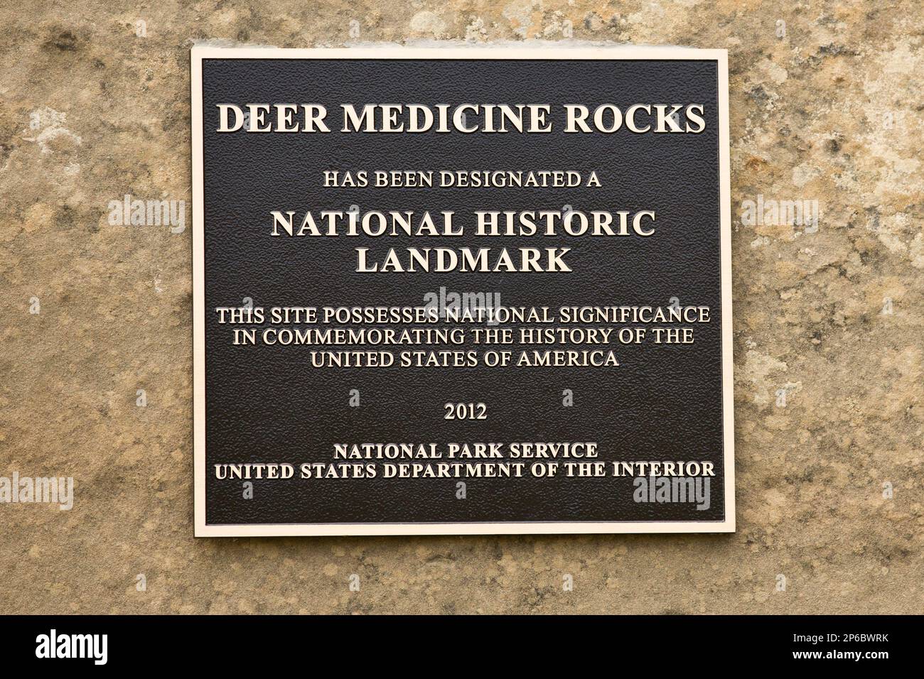 Deer Medicine