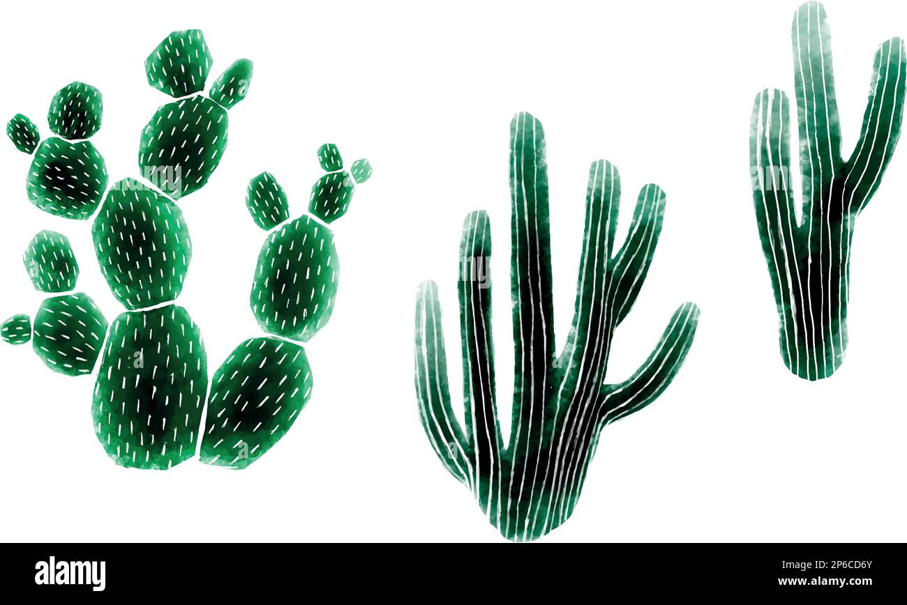Watercolor cactus set isolated on white background. Vector design Stock ...