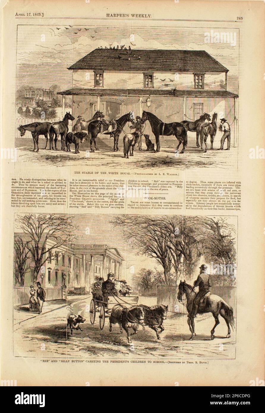 Lewis E. Walker, The Stable of the White House, 1869, wood engraving on paper. Stock Photo