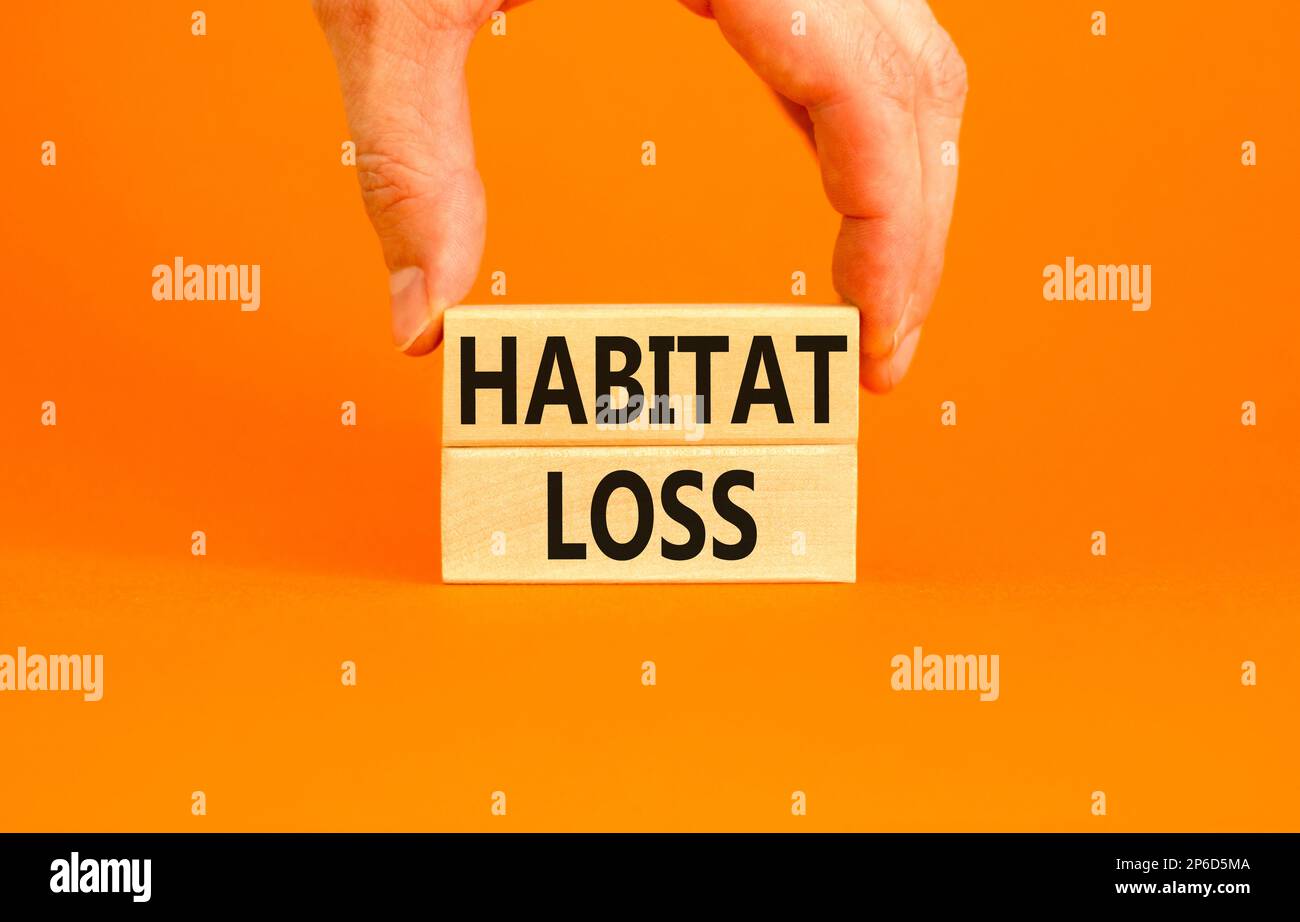 Habitat loss symbol. Concept words Habitat loss on wooden block. Beautiful orange table orange