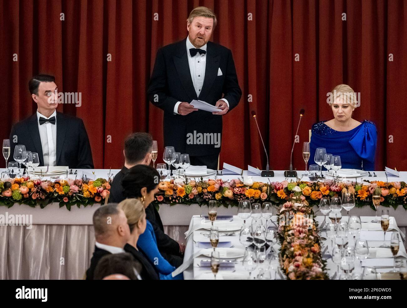 BRATISLAVA - King Willem-Alexander gives a speech during the state banquet on the first day of the three-day state visit to Slovakia. ANP REMKO DE WAAL netherlands out - belgium out Stock Photo