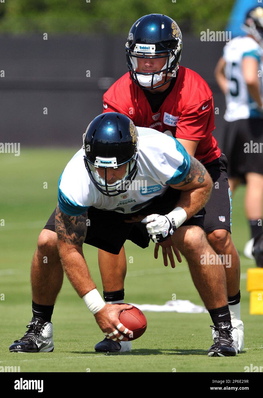 Jacksonville Jaguars' Brad Meester, front, snaps the ball to quarterback  Blaine Gabbert during NFL football organized team activities, Tuesday, May  15, 2012, in Jacksonville, Fla. (AP Photo/Florida Times-Union, Bruce Lipsky  Stock Photo 