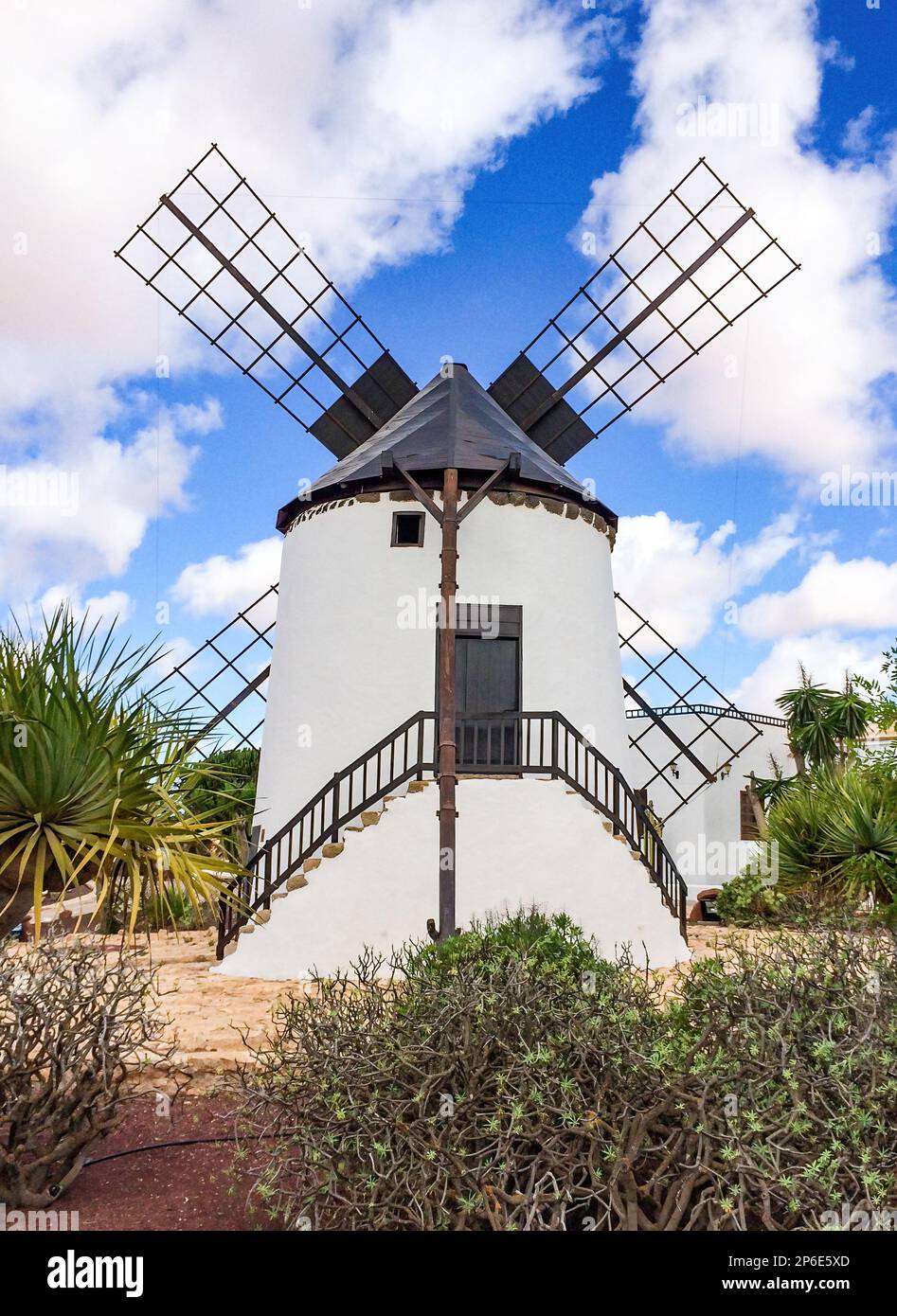 Windmühle, Käsemuseum, Centro de Artesania Molino, Antigua, Fuerteventura, Kanarische Inseln, Spanien, Europa Stock Photo