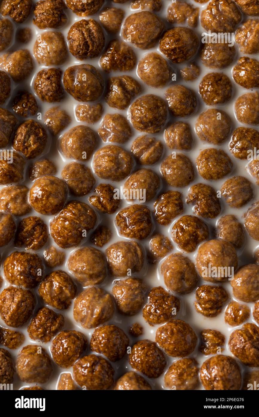 Healthy Sweet Chocolate Puff Cereal with Milk Stock Photo Alamy