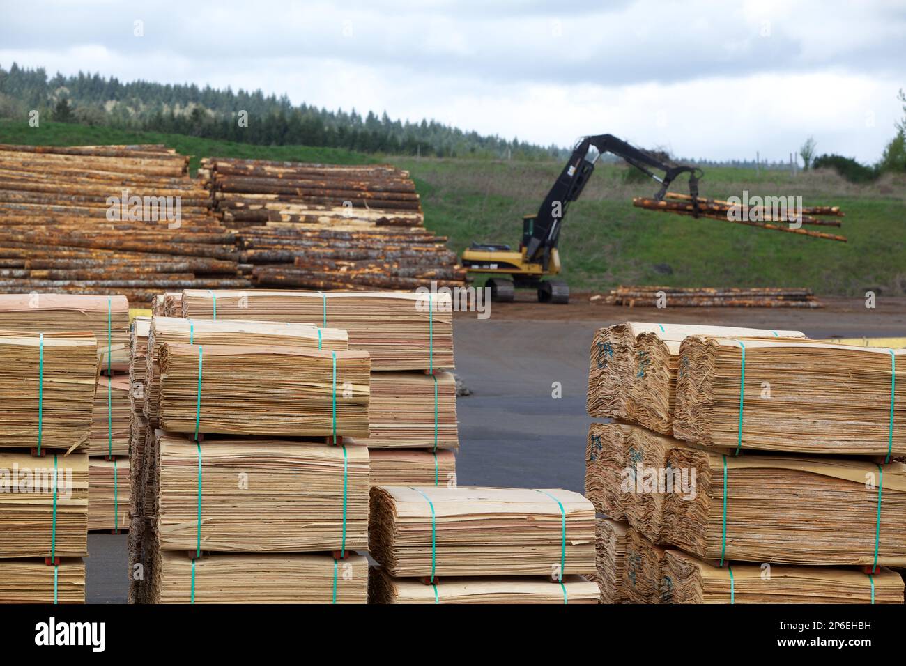 Willamina, OregonApril 26, 2012 Boise Cascade's veneer mill in