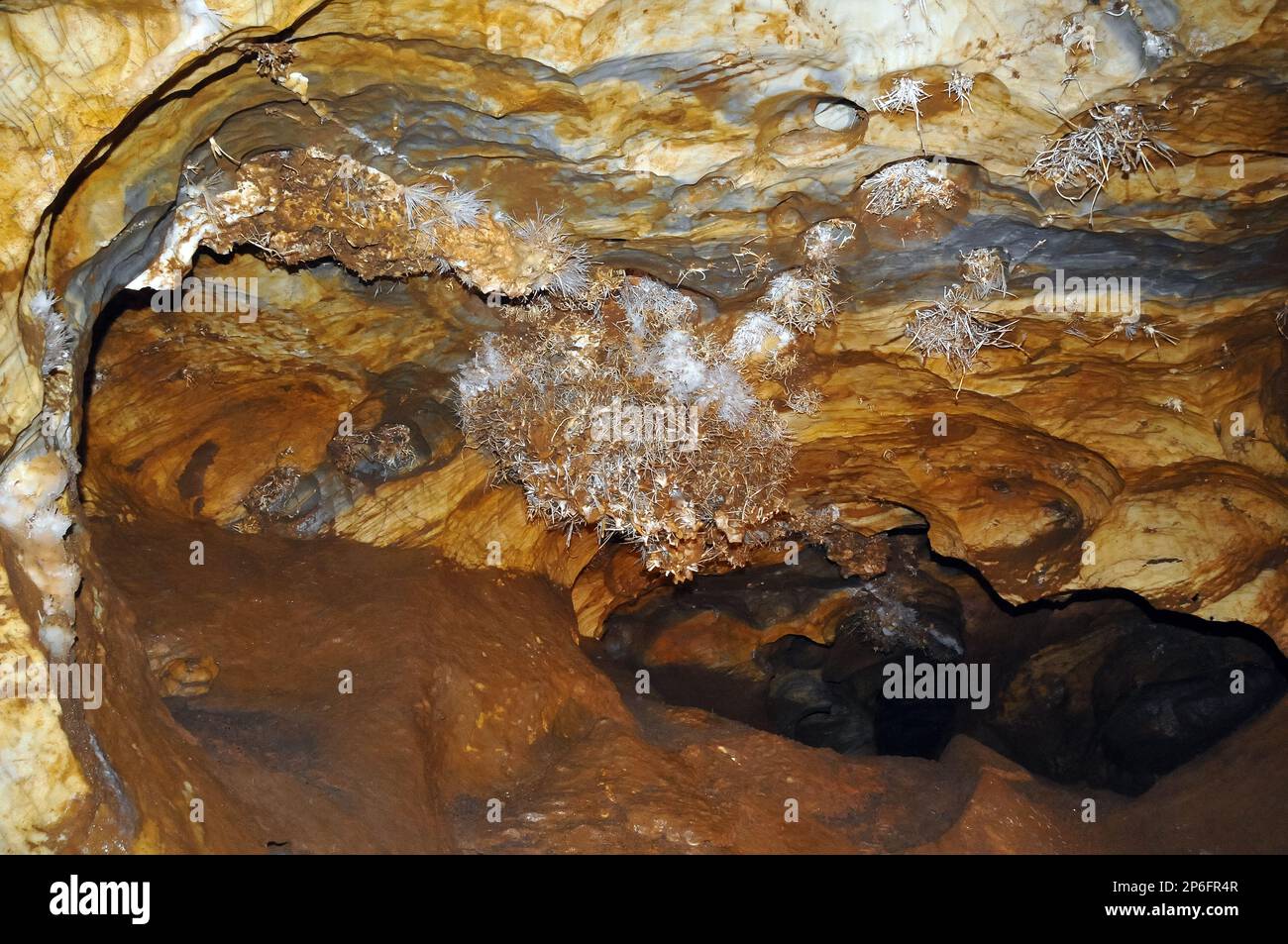 Ochtinská Aragonite Cave, Ochtinská aragonitová jaskyňa, Martonházi-aragonitbarlang, Slovak Karst, Slovak Republic, Europe, UNESCO World Heritage Site Stock Photo