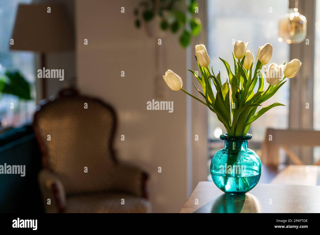 A bouquet of white tulips in a blue green glass vase in bright morning sun. Modern interior design, fresh spring flowers in a cozy living room. Stock Photo